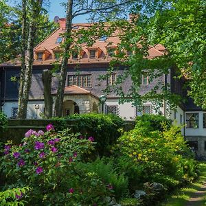 Bed and Breakfast Dworek Saraswati Świeradów-Zdrój Exterior photo