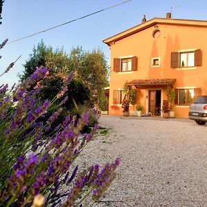 Hotel Locanda Della Lavanda San Clemente  Exterior photo