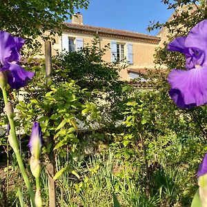 Bed and Breakfast Le Petit Cochon Valence-sur-Baïse Exterior photo