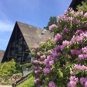 Ferienwohnung Panorama Point Sasbachwalden Exterior photo