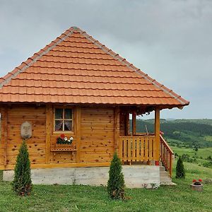 Villa Etno Domacinstvo Uvacki Konaci Nova Varoš Exterior photo