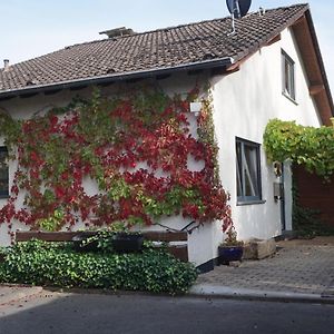 Haus Eifeldolomiten - Ankommen und Wohlfühlen Gerolstein Exterior photo