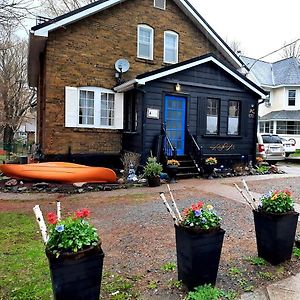 Bed and Breakfast Blue Spruce Bed&Breakfast Gravenhurst Exterior photo