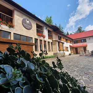 Hotel Complex Turistic Caprioara Baia Mare Exterior photo