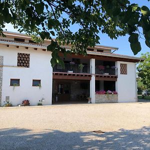 Bed and Breakfast Agriturismo Antica Corte Contadina Premariacco Exterior photo