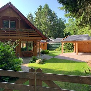 Villa 'T Holten Huus - Puur Genieten In Het Bos. Norg Exterior photo