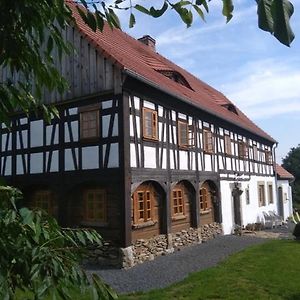 Villa Izerski Dom Löschney Exterior photo