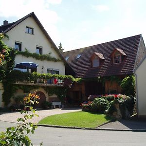 Apartment Weinbergglück Ebringen Exterior photo