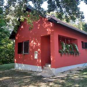 Villa Kuca Za Odmor Cordon Vojnić Exterior photo