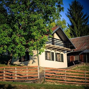 Kuća za odmor, Ferienhaus, Holiday home RUGAŠ Orahovica Exterior photo