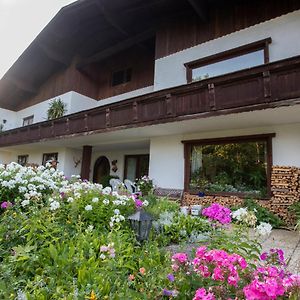 Hotel Haus Kogler Inzersdorf im Kremstal Exterior photo