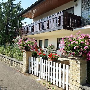 Ferienwohnung Thuja am Weinberg Vaihingen an der Enz Exterior photo