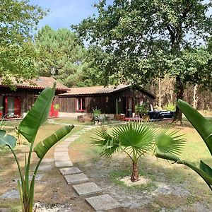 Bed and Breakfast Hacienda De La Canopee Avec Piscine Chauffee Au Sel Hourtin Exterior photo