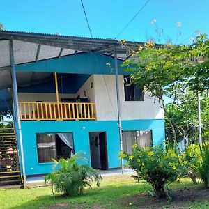 Bed and Breakfast Casa Caribe Tortuguero Exterior photo