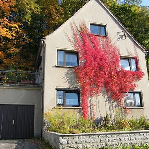 Villa unser Ferienhaus Ebersbach-Neugersdorf Exterior photo