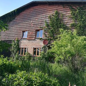 Ferienwohnung Ferien in der Scheune Dettmannsdorf Exterior photo