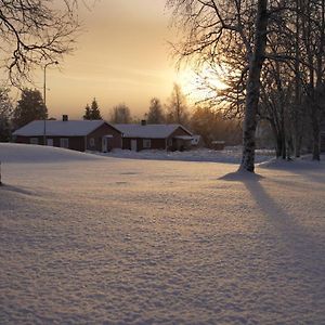 Villa Lapland Stuga & Tours Rentjarn Exterior photo