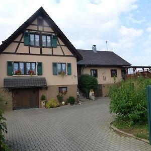 Villa Gite 3 Frontieres Hagenthal-le-Bas Exterior photo