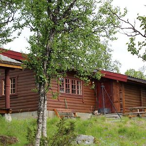Villa Bjornehiet Havsdalen Geilo Exterior photo