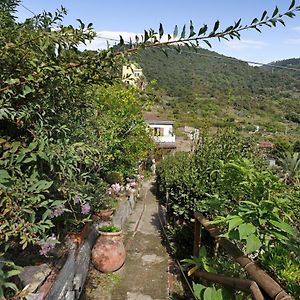 Villa Lardarina Corniglia Exterior photo