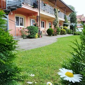 Hotel Penzion Areal Zamma Rožňava Exterior photo