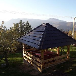 Villa Seoska Kuca Rakic - Tara Rastiste Exterior photo