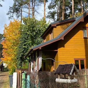 Villa Lawendula Domek Nad Miedwiem Morzyczyn  Exterior photo