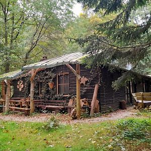 Ferienwohnung Das wilde Auwaldhaus Bertsdorf Exterior photo