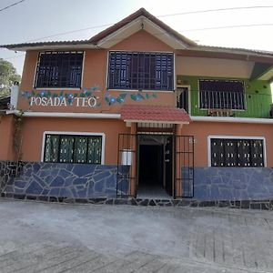 Aparthotel Posada Teo Xilitla Exterior photo