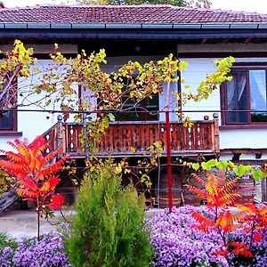 Hotel Babinata Kashta-Srebarna Srebŭrna Exterior photo