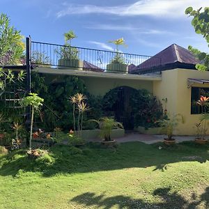 Bed and Breakfast Can Jam Retreat Negril Exterior photo