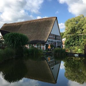 Hotel Taubenhof - Gut Cadenberge Exterior photo