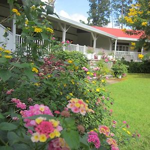 Bed and Breakfast Casa Romero Boquete Exterior photo