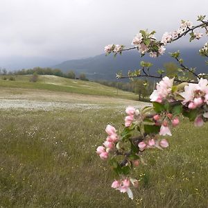 Bed and Breakfast La Bicocca Bobbio Exterior photo