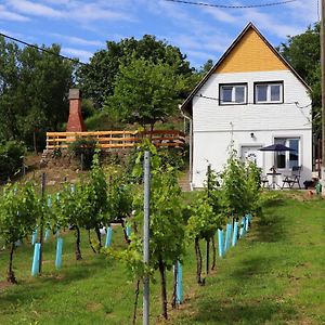 Villa Szoloskert Vendeghaz Baj Exterior photo