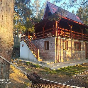 Villa Vikendica Dve Sestre Zlatibor Exterior photo