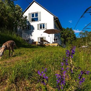 Villa Freistehendes Ferienhaus mit Kamin, Sauna, atemberaubenden Blick ins Tal, mehrere Terrassen, 1500qm Grundstück 1,6m hoch eingezäunt Gerabronn Exterior photo