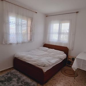 Ferienwohnung נווה מדבר - אירוח מקומי Arad Exterior photo