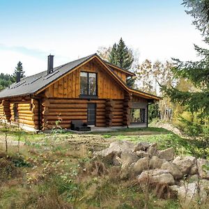 Villa Chalet Srub Kuří Benesov nad Cernou Exterior photo