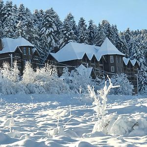 Hotel Pid Lisom Skhidnytsia Exterior photo