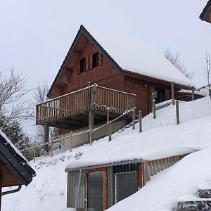 Villa Chalet Montagnard Perce Neige Avec Terrasse Plein Sud-5 Personnes Murat-le-Quaire Exterior photo