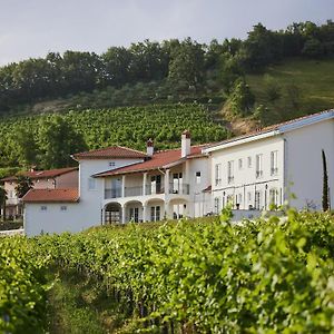 Bed and Breakfast Peterc Vineyard Estate Kojsko Exterior photo