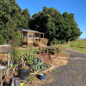 Villa The Treehut Ohauiti Exterior photo