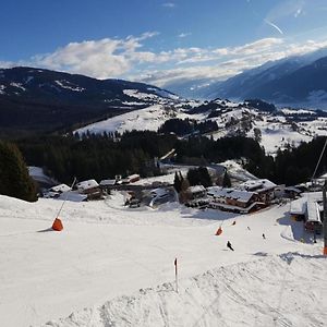 Villa Panorama Chalet Mittersill Exterior photo