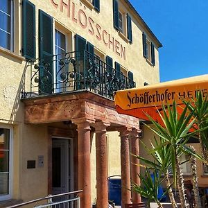 Hotel Das Muldenschlösschen - Wander-&Fahrradpension Lunzenau Exterior photo