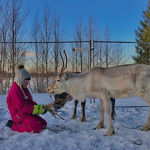 Villa Beautiful Rural Experience With Reindeer Tervola Exterior photo