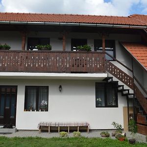 Bed and Breakfast Havasi Gyopar Praid Exterior photo