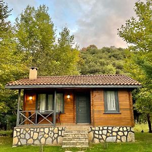 Hotel Pleasant Bungalow Surrounded By Nature In Karamursel, Kocaeli Exterior photo