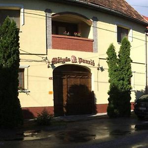 Bed and Breakfast Matyas Panzio Szegedin Exterior photo