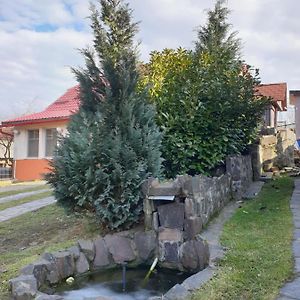 Villa Casa Cu Fantana Borlesti Exterior photo